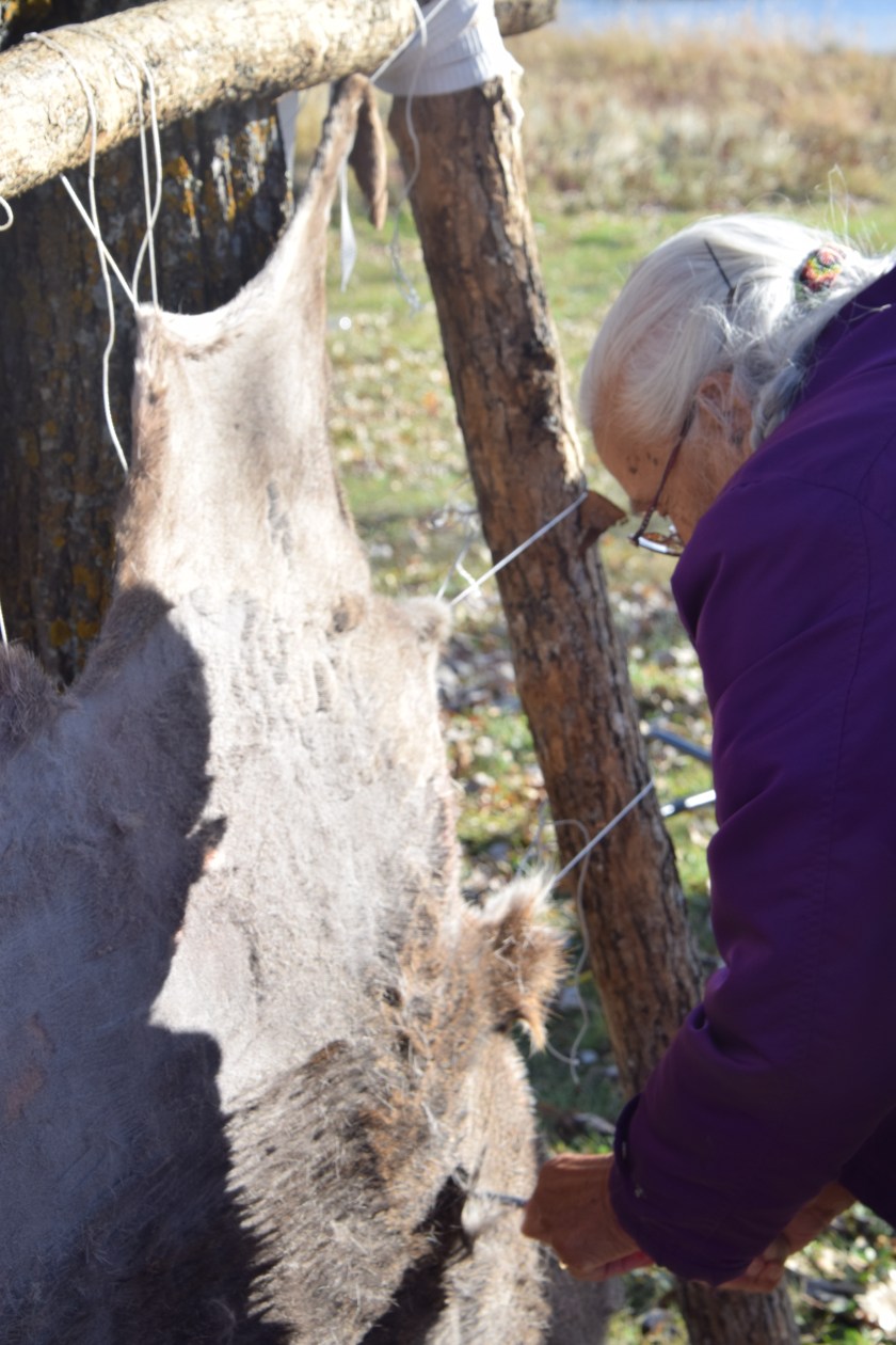 1st- Oct23-25 Cultural Camp - Virginia Loon