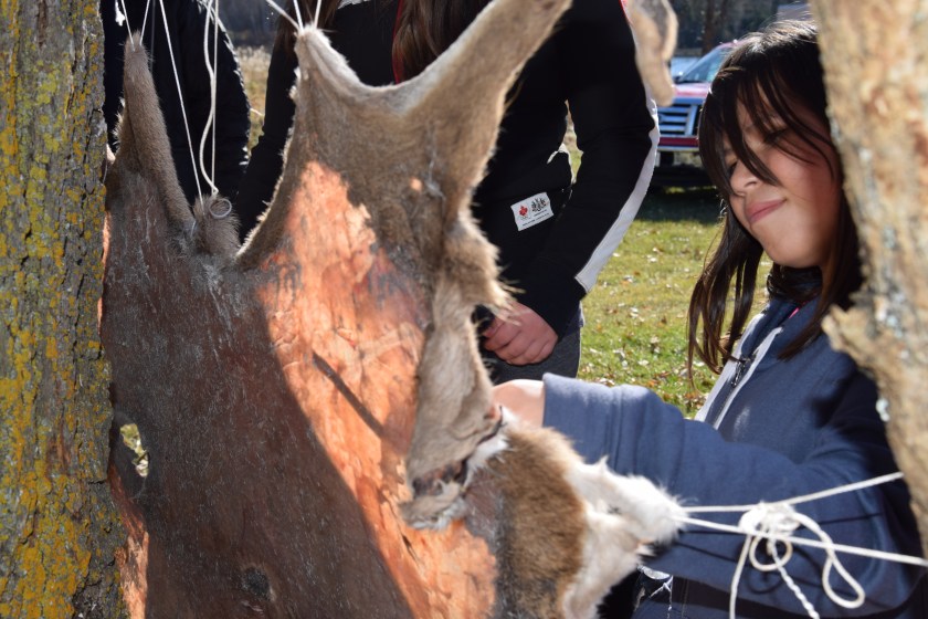 Scraping deer hide (Photo Credit: Jazlyn Copenance)