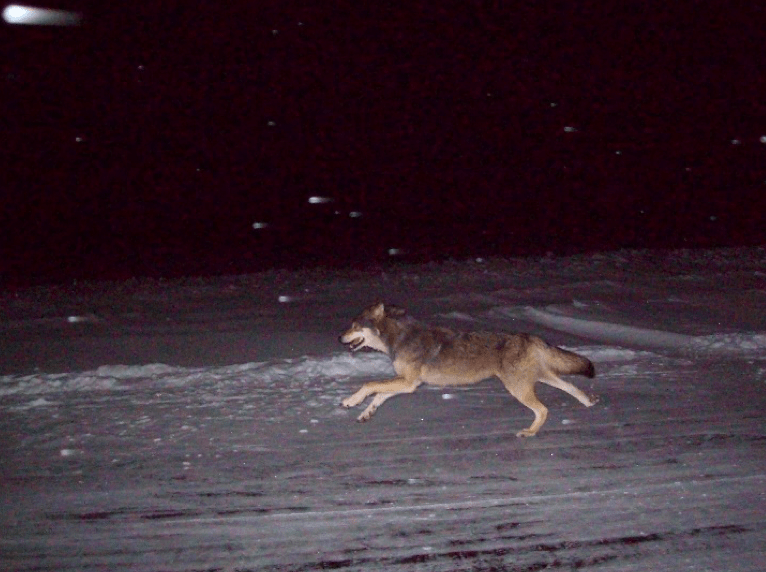 maria blackhawk - ice roads 3